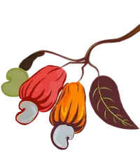 What we do best What we do best