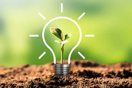 Green chemistry innovation - bio-based polymer solutions growing from sustainable ideas.