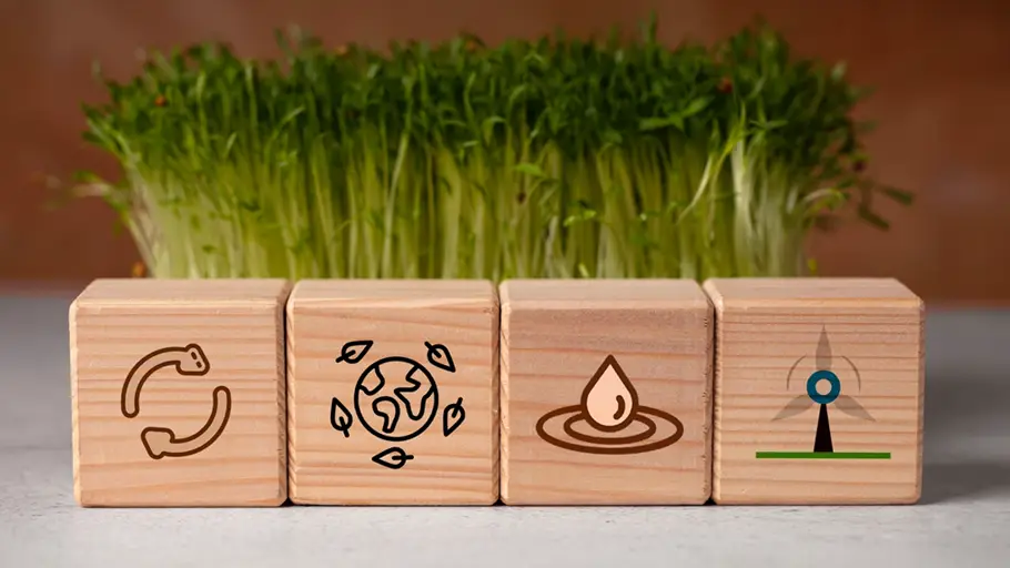 Reduction and Elimination of VOCs