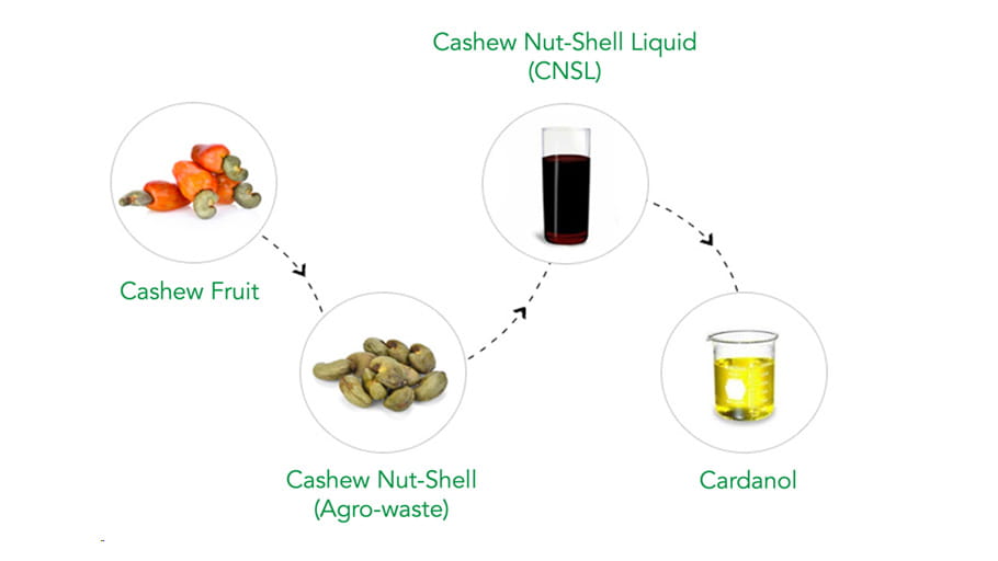 High-performance, sustainable epoxy curing agents engineered from cashew nut shells. From CNSL to Cardanol, NSPC’s perfected process delivers superior solutions for challenging environments