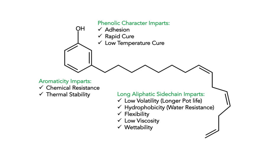 Diagram illustrating cardanol’s chemical structure: phenolic ring with 15-carbon aliphatic chain, key to its hydrophobicity, flexibility, chemical resistance and curing properties